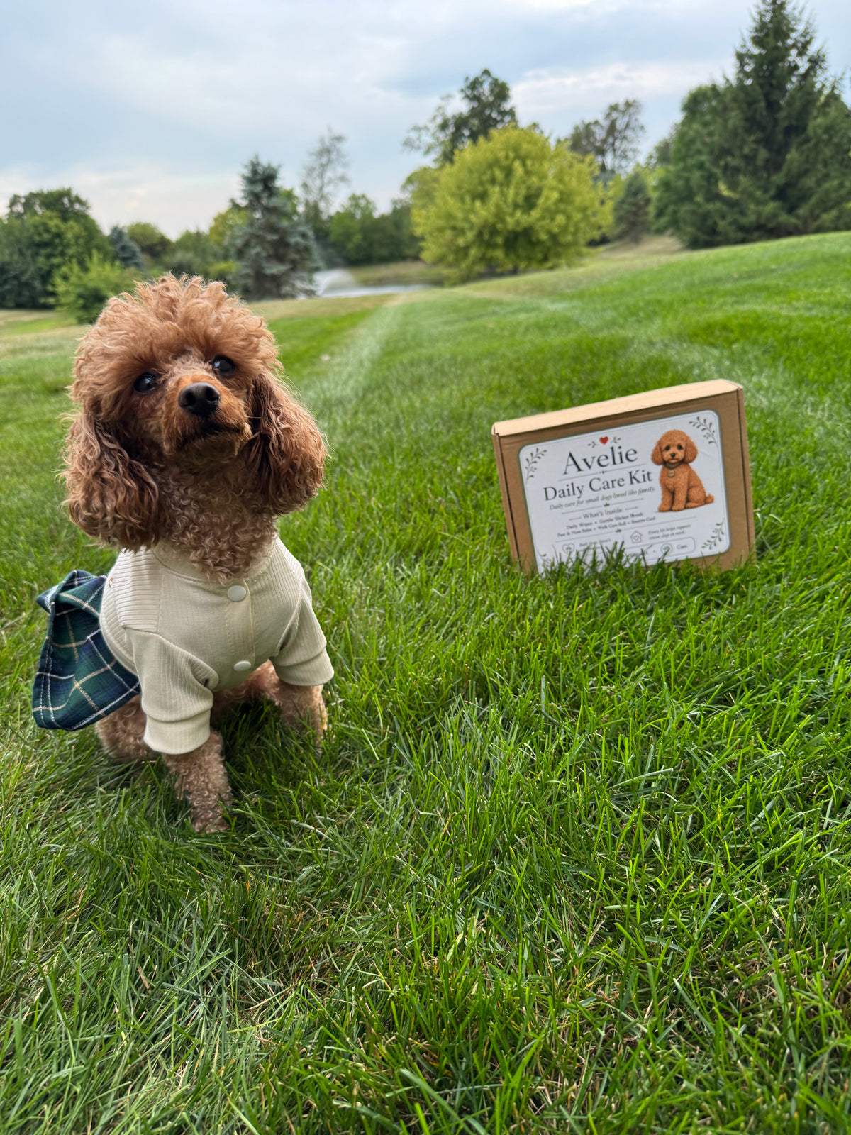 Avelie Daily Care Kit for Small Dogs