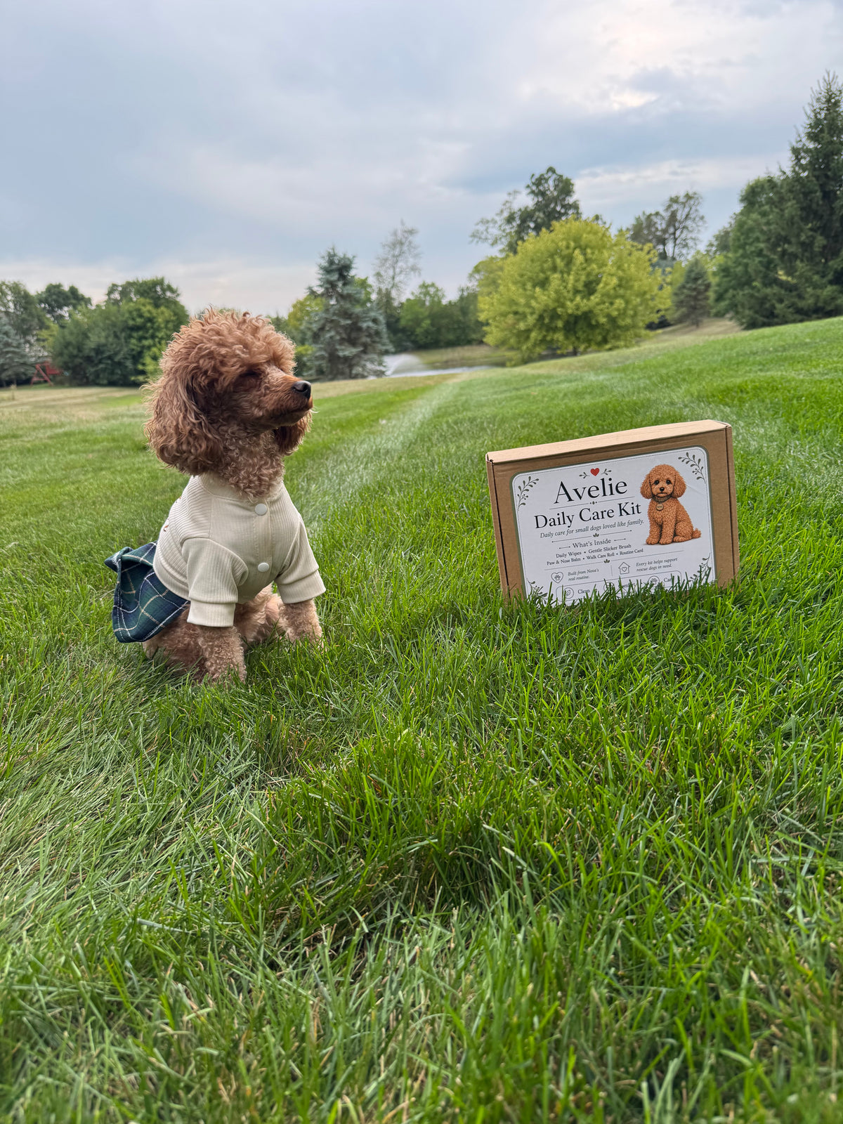 Avelie Daily Care Kit for Small Dogs