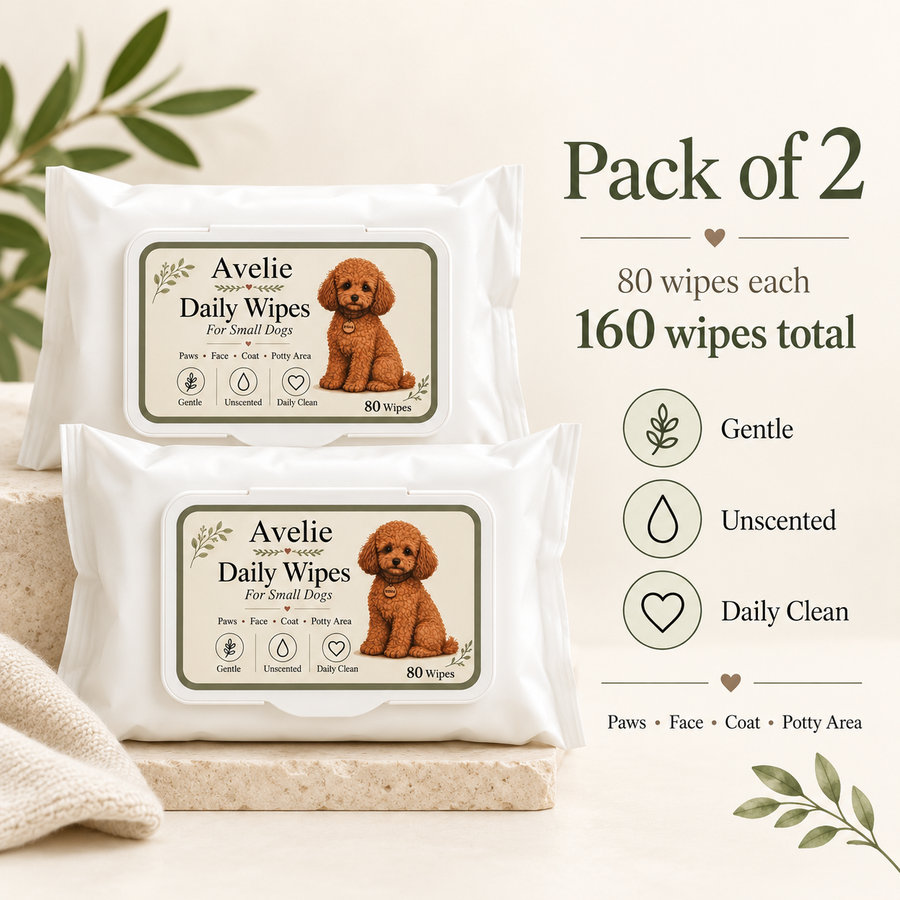 Avelie Daily Wipes 2-pack 160 wipes total